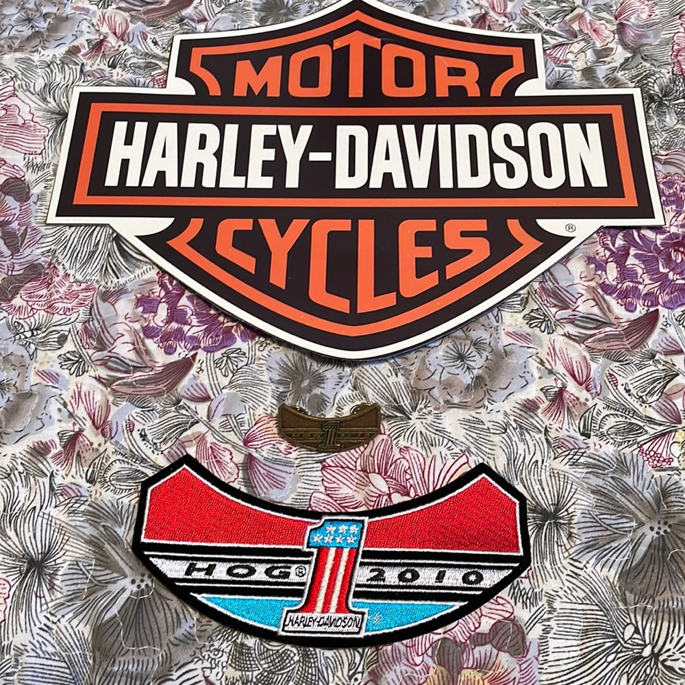 HD HOG Pin and Patch-2010